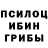 Псилоцибиновые грибы MAGIC MUSHROOMS Dariya Priimak