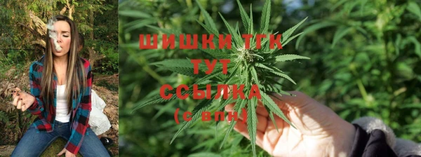 марки lsd Абаза
