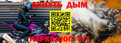 трава Новозыбков