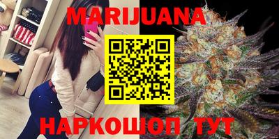 трава Новозыбков