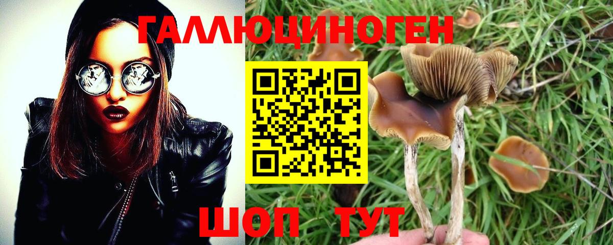 Ялуторовск  Псилоцибиновые грибы Cubensis  Галлюциногенные грибы мухоморы  Вход с VPN 